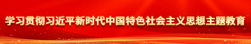 日逼逼www学习贯彻习近平新时代中国特色社会主义思想主题教育